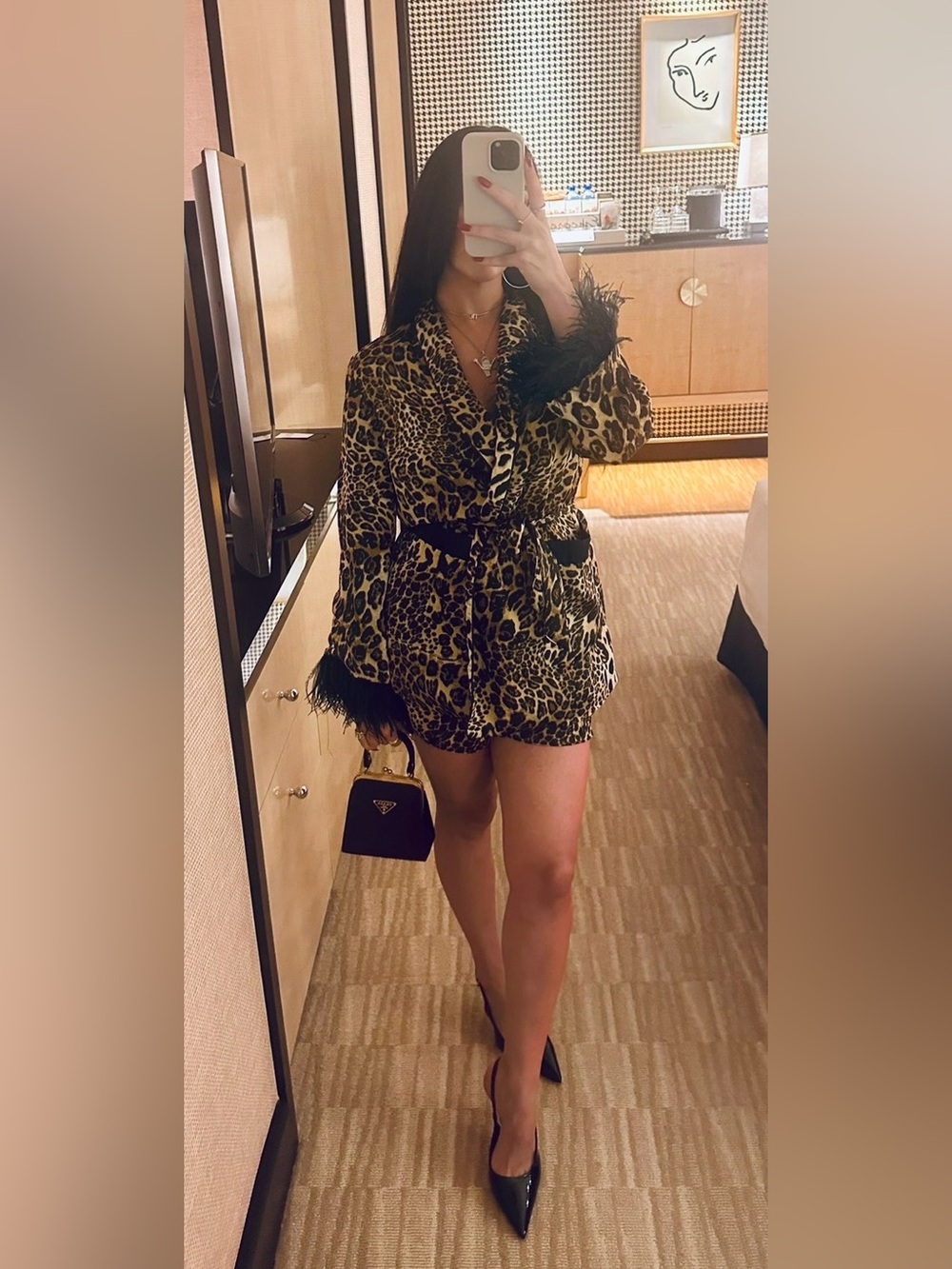 Leopard Print Belted Mini Dress with Feather Trim - Brown